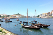 IMG_3726 (1024x768)