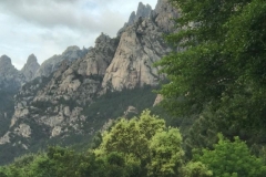 D 323