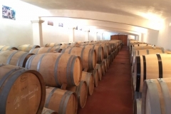 IMG_8307 (640x480)